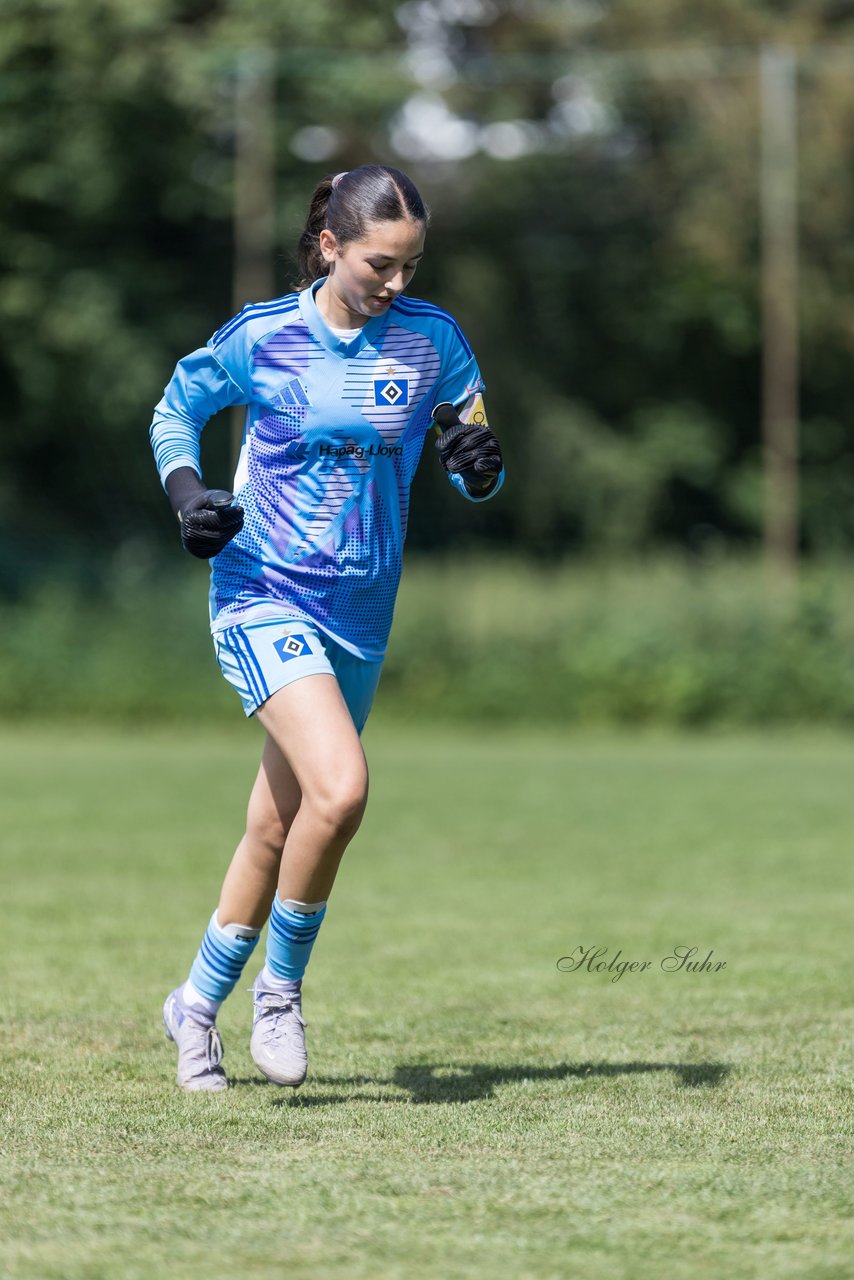 Bild 300 - wBJ Hamburger SV - VfL Wolfsburg : Ergebnis: 5:1
